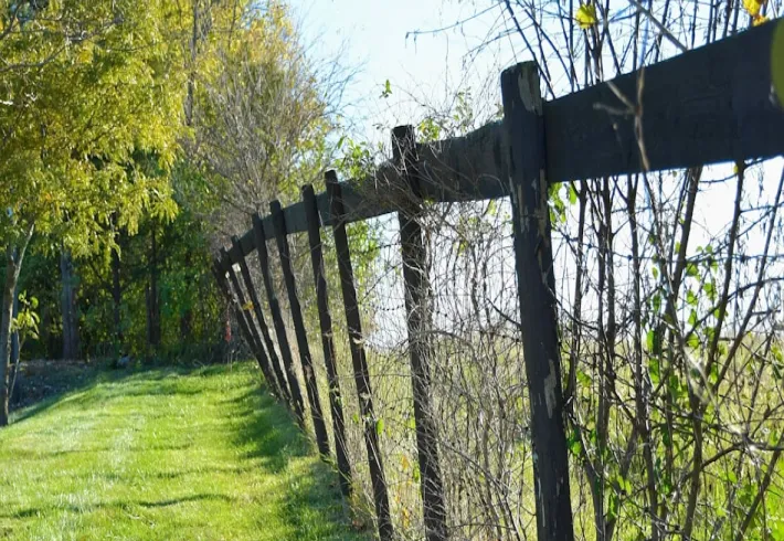 fence property clearing westville sc