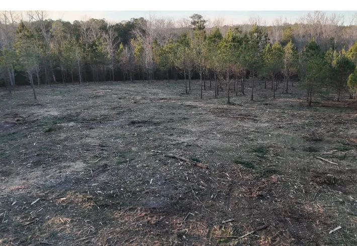 pasture reclamation services westville sc
