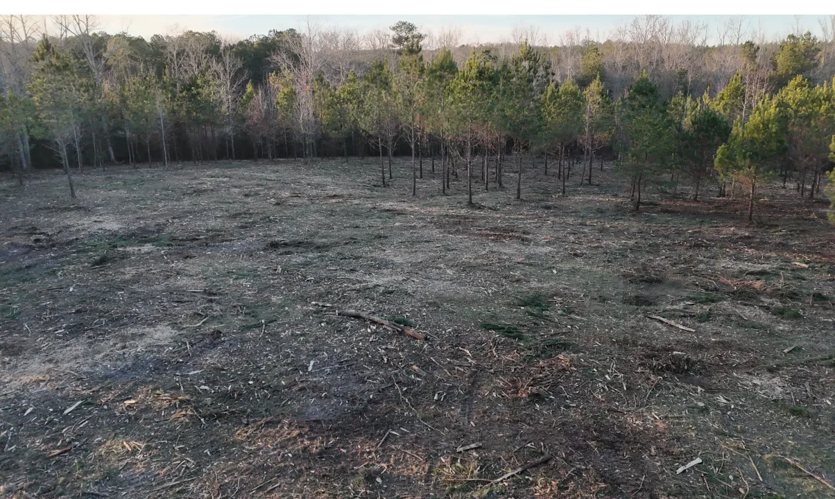 pasture reclamation card